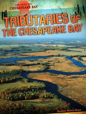 cover image of Tributaries of the Chesapeake Bay